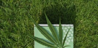 Cannabinoid: Glossary of Related Terms white and green book on green grass