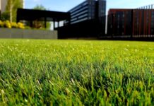 Commercial Clicks: Top 10 Things You Didn’t Know You Can Buy Online green grass field