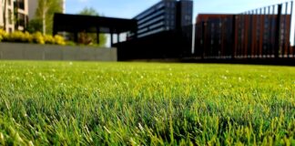 Commercial Clicks: Top 10 Things You Didn’t Know You Can Buy Online green grass field