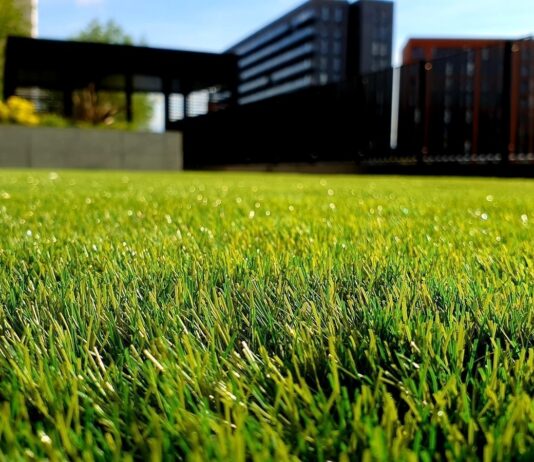 Commercial Clicks: Top 10 Things You Didn’t Know You Can Buy Online green grass field
