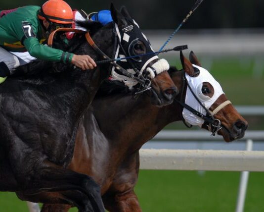 Combining Fun and Fortune with W88: A Review For Beginners man riding horse