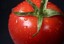 Trying Some Savory Cooking? Cook These 10 Tomato Sauce Recipes closeup photo of red tomato against black background