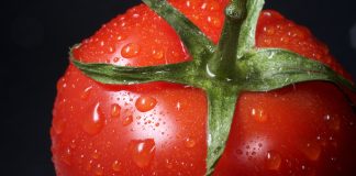 Trying Some Savory Cooking? Cook These 10 Tomato Sauce Recipes closeup photo of red tomato against black background