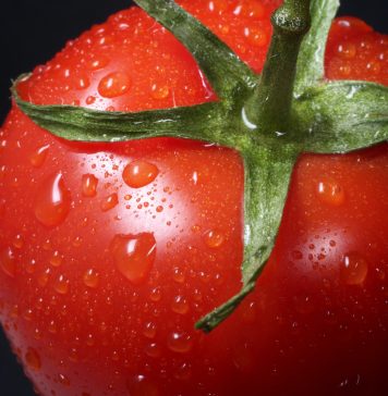 Trying Some Savory Cooking? Cook These 10 Tomato Sauce Recipes closeup photo of red tomato against black background