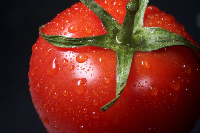 Photo by Immo Wegmann closeup photo of red tomato against black background