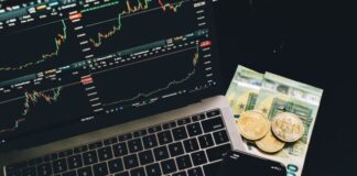 A 4-Point Guide on Evaluating a Cryptocurrency Before Investing in It
