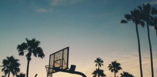 The Best U.S. Cities for Sports Fans to Visit silhouette photo of basketball system
