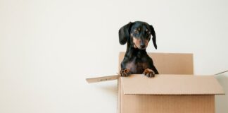 Pre-Move Purge: Here’s What to Keep, Donate, and Throw Out