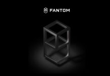 Fantom Cryptocurrency (FTM) Review – Analysis, Prospects and Features