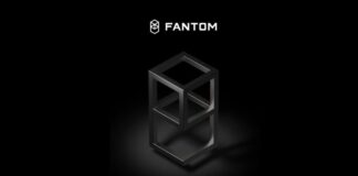 Fantom Cryptocurrency (FTM) Review – Analysis, Prospects and Features