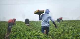 The Best Logistics Solutions for Organic Farming man in gray hoodie and black pants holding brown cardboard box