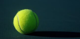 Ones to Watch in the Davis Cup Finals