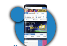 Briefly About Indibet India