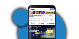Briefly About Indibet India