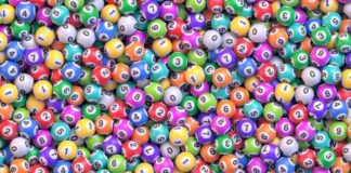 Did You Know? – Bingo Edition