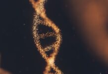 Do You Know Where Your Ancestors Come From?