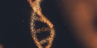 Do You Know Where Your Ancestors Come From?