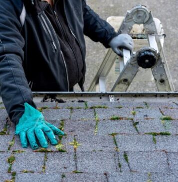 Preparing Your Roof For Spring: Tips From a Professional Contractor
