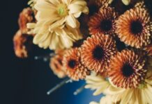 Benefits of Ordering Flowers With the Help of Delivery Service