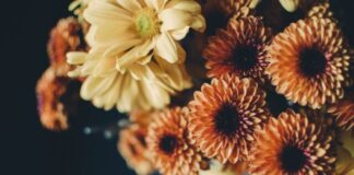 Benefits of Ordering Flowers With the Help of Delivery Service