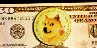 6 Top Benefits You Should Know About Crypto Gambling brown and white short coated dog print round plate