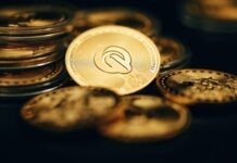 The Future of Digital Commerce: USDC Payment Solutions a close up of a coin on a table