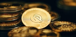 The Future of Digital Commerce: USDC Payment Solutions a close up of a coin on a table