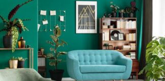 5 Accent Wall Painting Ideas That Are Sure to Brighten Up Your Home