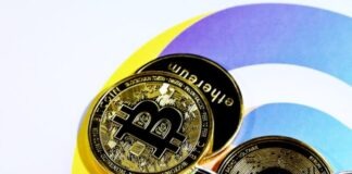 The Present and Future of Cryptocurrency Casinos a pile of bitcoins sitting on top of each other
