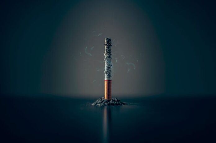 Photo by Mathew MacQuarrie single cigarette stick with ashes stick