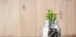Black Banx’s Contribution to Sustainable Banking Practices a glass jar filled with coins and a plant