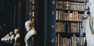 Why Legal Advice Is Crucial for TPD Insurance Cases book lot on black wooden shelf